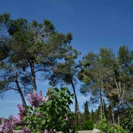 Mas Du Puech Clapas *