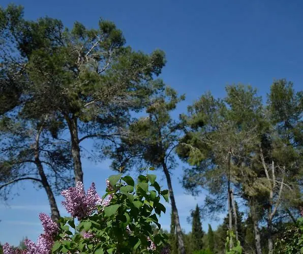 Mas Du Puech Clapas *